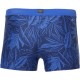 Maillot de Bain Homme O'NEILL Boxer Cali Tights Blue