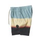 Boardshort VISSLA Point Breaker 17.5 Ecolastic Smokey Jade