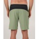 Boardshort Homme SALTY CREW Pinnacle Long Range Dusty Sage