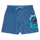 Boardshort Santa Cruz Screaming Wave Dusty Blue