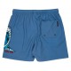 Boardshort Santa Cruz Screaming Wave Dusty Blue